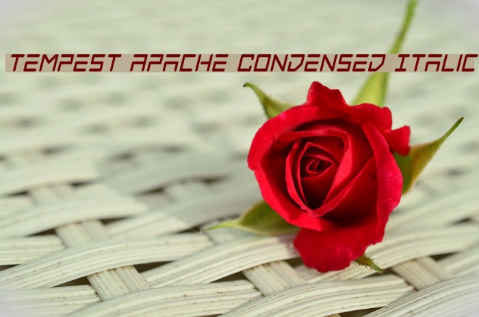 Tempest Apache Condensed Italic Example 2