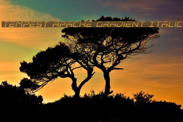 Tempest Apache Gradient Italic Font examples