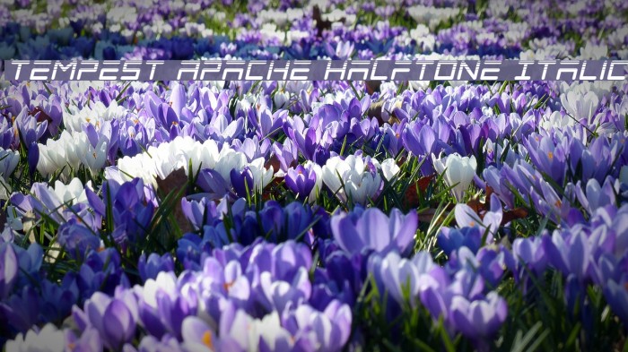 Tempest Apache Halftone Italic Example 1