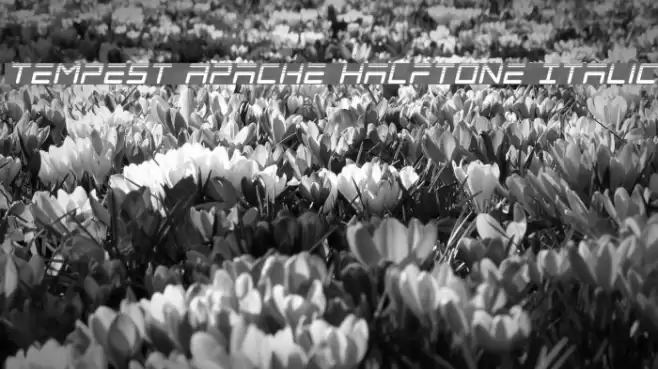 Tempest Apache Halftone Italic Font examples