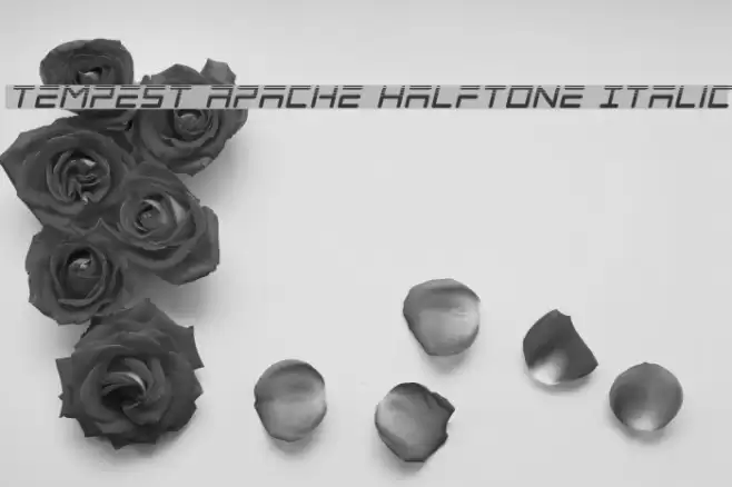 Tempest Apache Halftone Italic Font examples