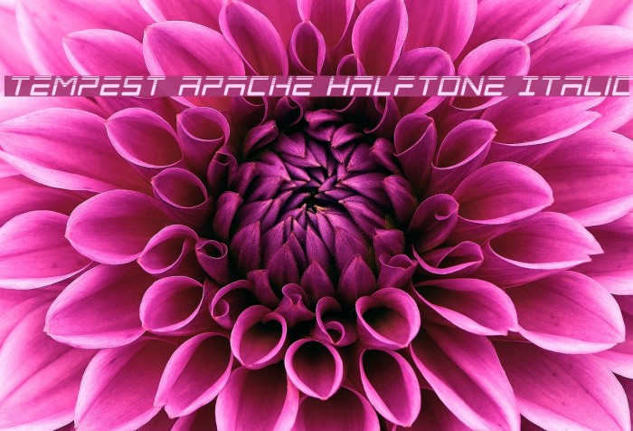Tempest Apache Halftone Italic Example 3