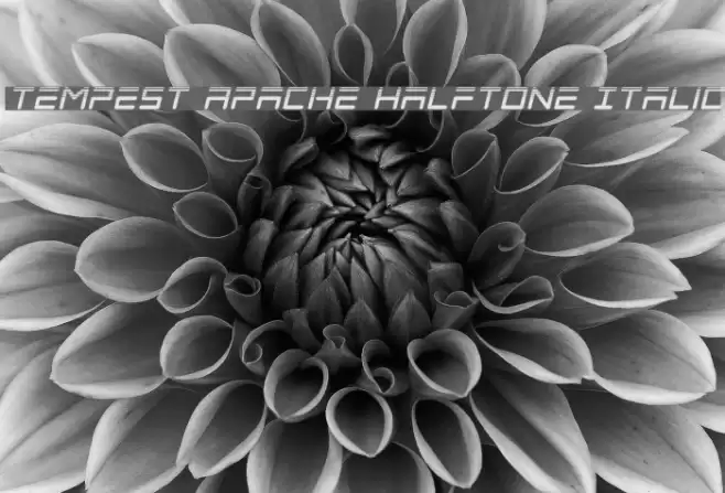 Tempest Apache Halftone Italic Font examples