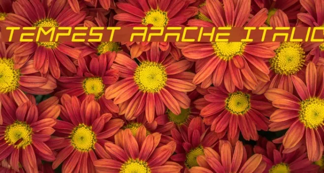 Tempest Apache Italic Example 3
