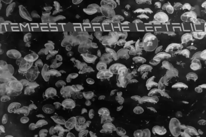 Tempest Apache Leftalic Font examples