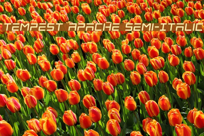 Tempest Apache Semi-Italic Font examples