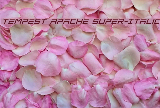 Tempest Apache Super-Italic Example 2