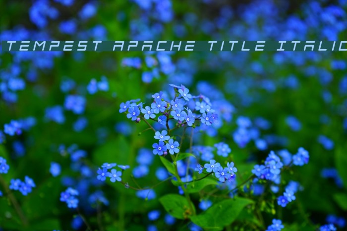 Tempest Apache Title Italic Font examples