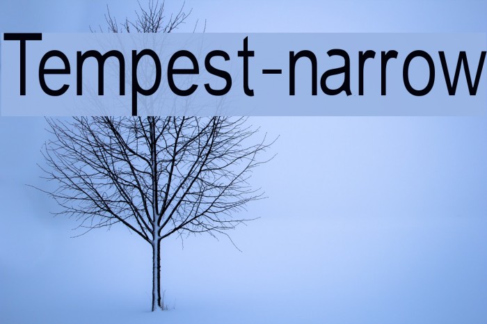 Tempest-narrow Font examples