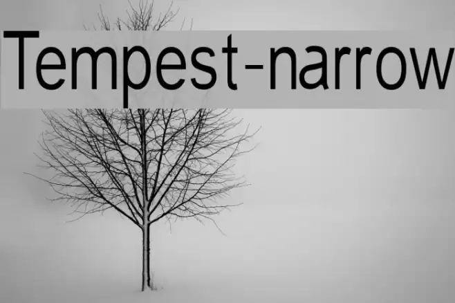 Tempest-narrow フォント examples
