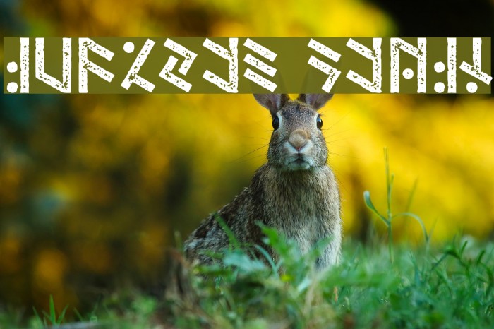 Temphis Dirty Example 1