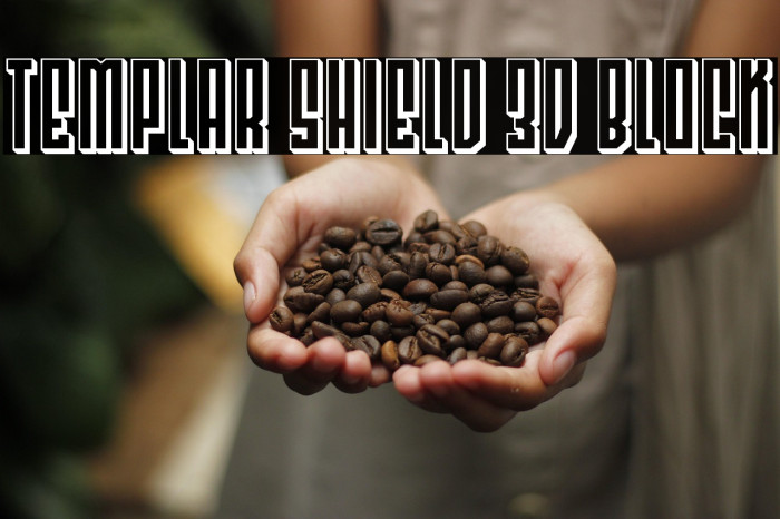Templar Shield 3D Block Example 1