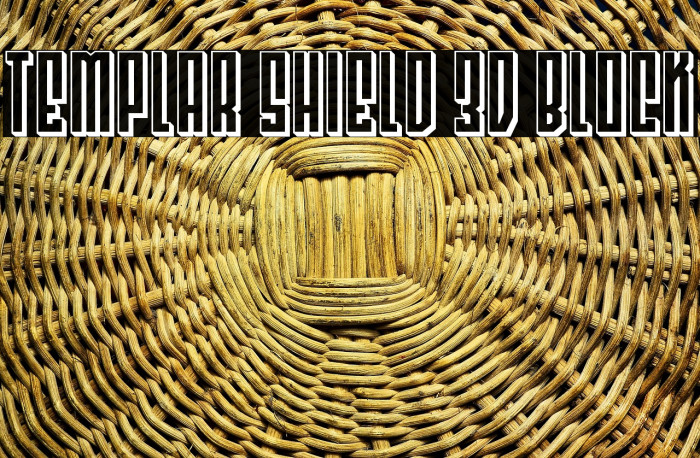 Templar Shield 3D Block Example 2
