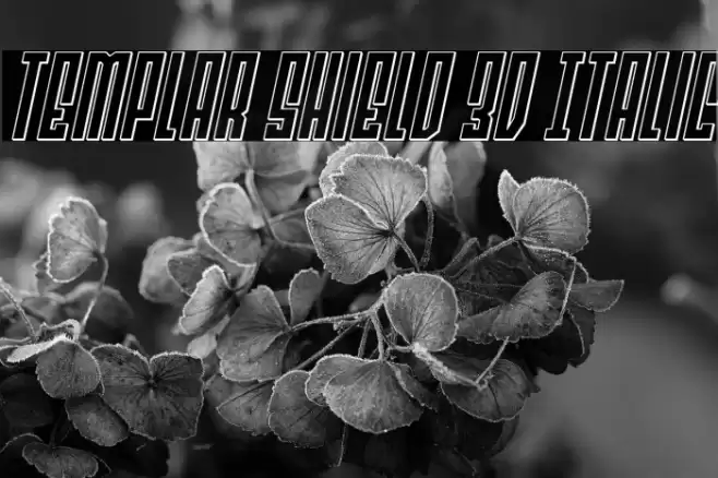 Templar Shield 3D Italic Font examples