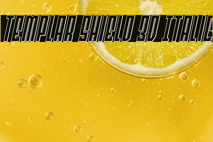 Templar Shield 3D Italic Example 3