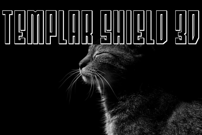Templar Shield 3D Example 1