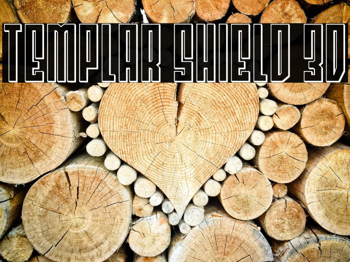 Templar Shield 3D Example 3