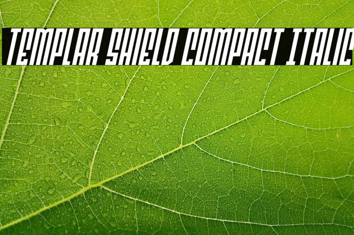 Templar Shield Compact Italic Example 2