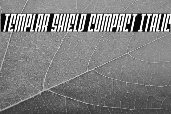 Templar Shield Compact Italic Font examples
