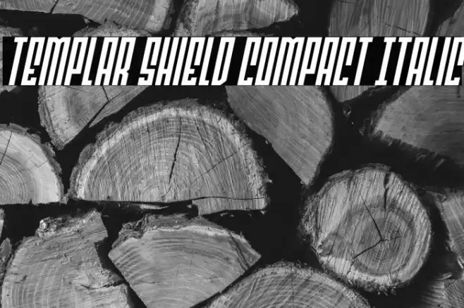 Templar Shield Compact Italic Font examples