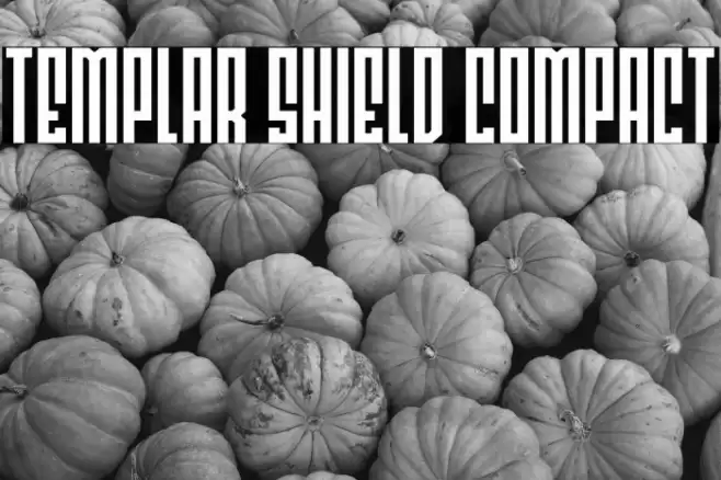 Templar Shield Compact Font examples