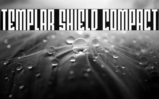 Templar Shield Compact Font examples