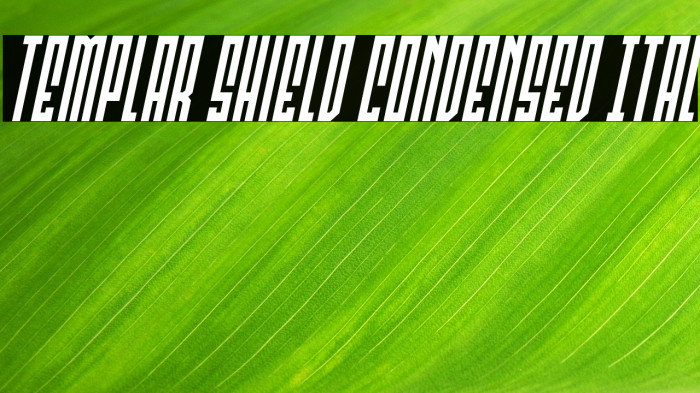 Templar Shield Condensed Ital Example 1