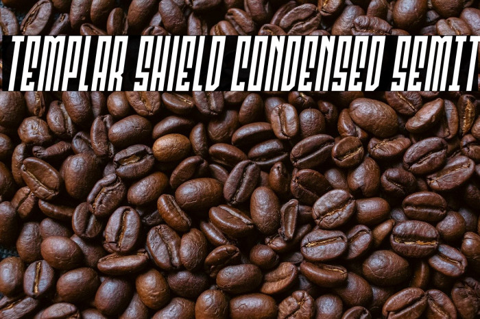 Templar Shield Condensed SemIt Example 2