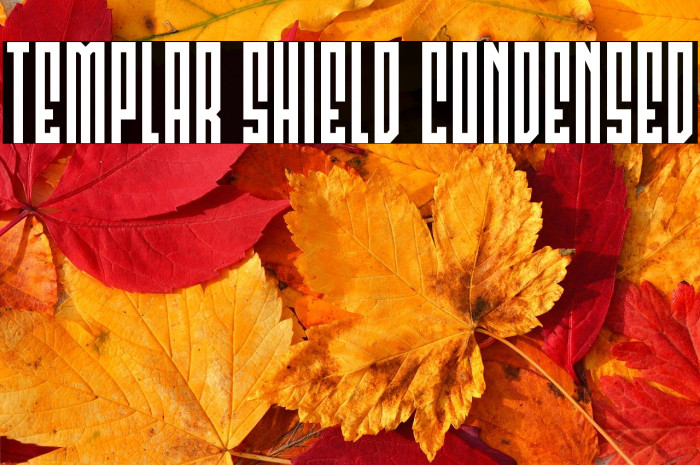 Templar Shield Condensed Example 1