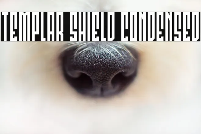 Templar Shield Condensed Example 3