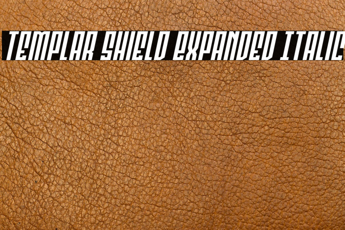 Templar Shield Expanded Italic Example 3