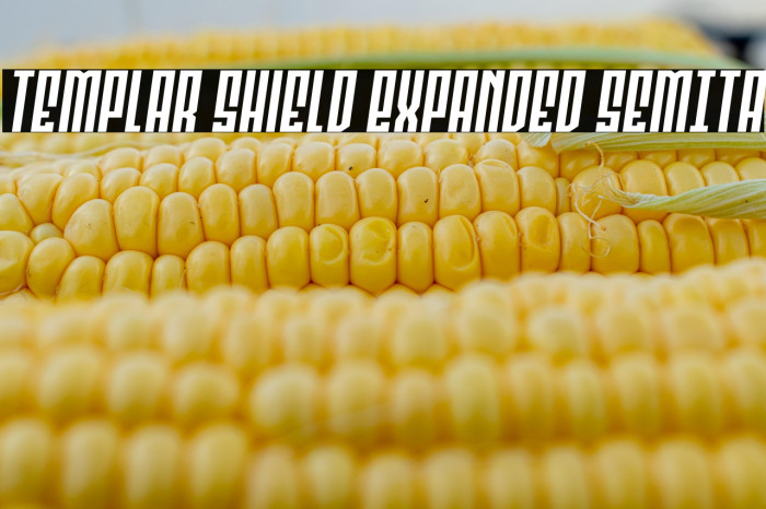 Templar Shield Expanded SemIta Example 1