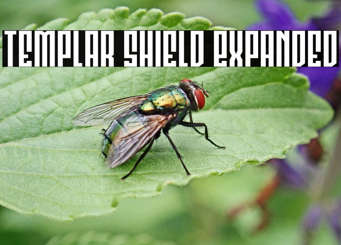 Templar Shield Expanded Example 1