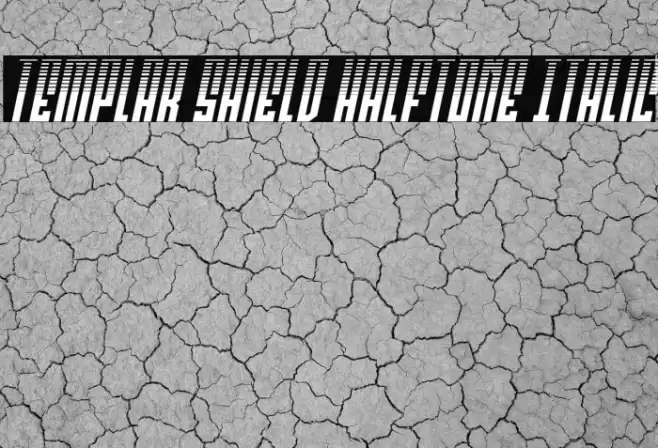 Templar Shield Halftone Italic Font examples