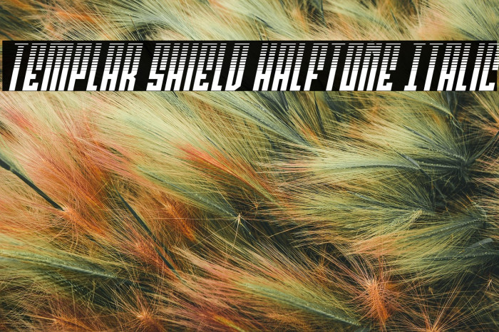 Templar Shield Halftone Italic Example 2