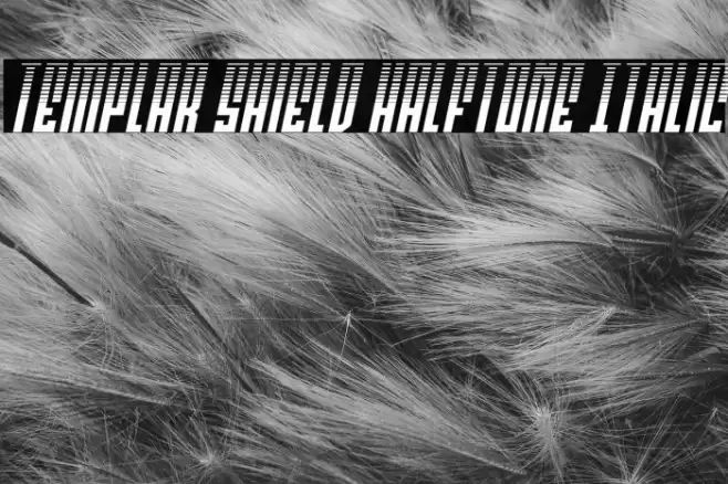 Templar Shield Halftone Italic Font examples