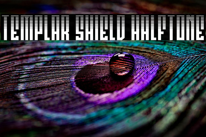 Templar Shield Halftone Example 3