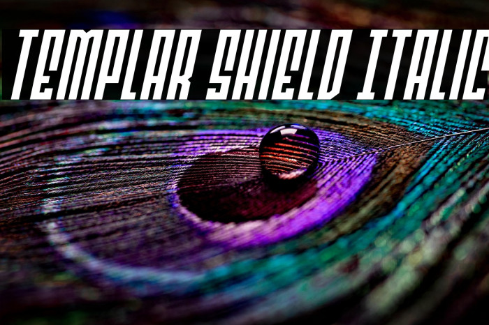 Templar Shield Italic Example 2