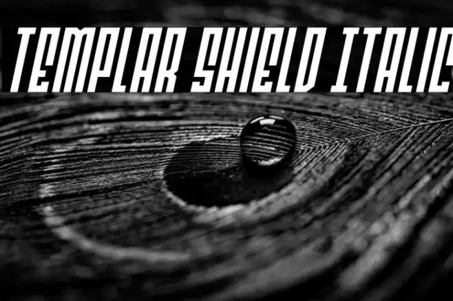 Templar Shield Italic Font examples