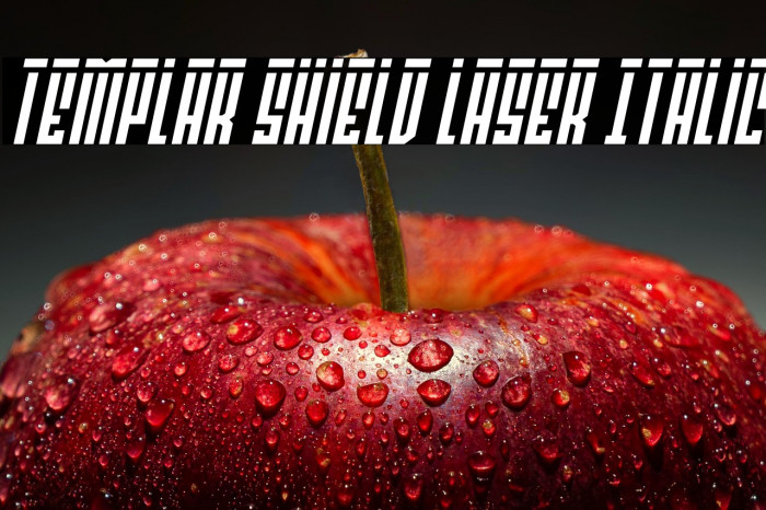Templar Shield Laser Italic Example 1