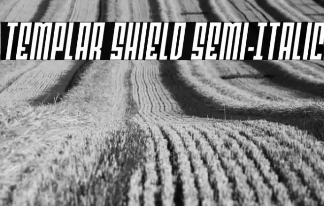 Templar Shield Semi-Italic Font examples