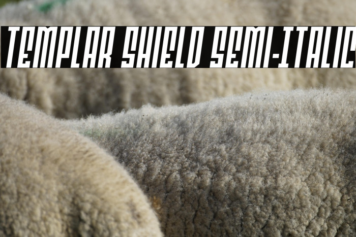 Templar Shield Semi-Italic Example 3