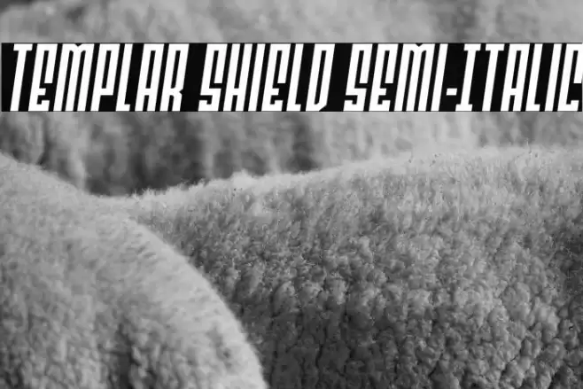 Templar Shield Semi-Italic Font examples