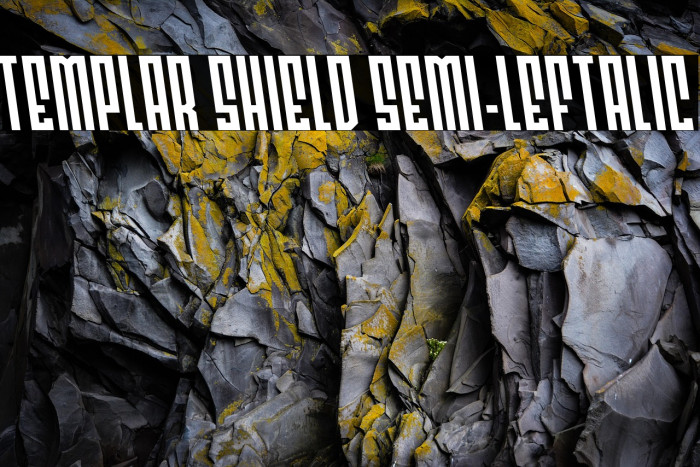 Templar Shield Semi-Leftalic Example 1