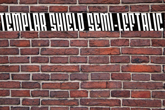 Templar Shield Semi-Leftalic Example 2