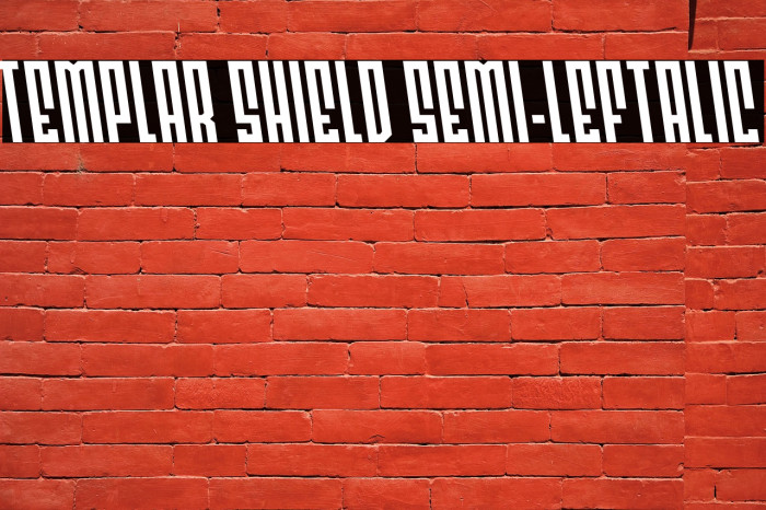 Templar Shield Semi-Leftalic Example 3