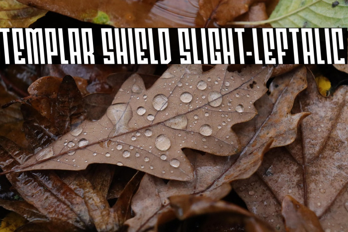 Templar Shield Slight-Leftalic Example 1