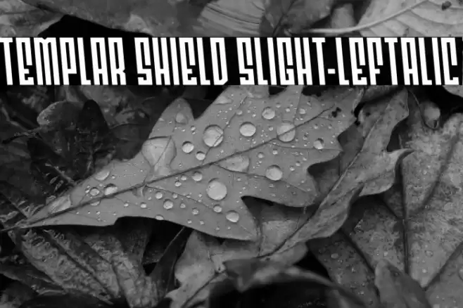 Templar Shield Slight-Leftalic Font examples