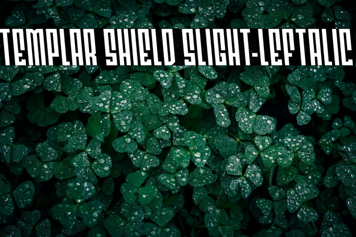 Templar Shield Slight-Leftalic Example 2