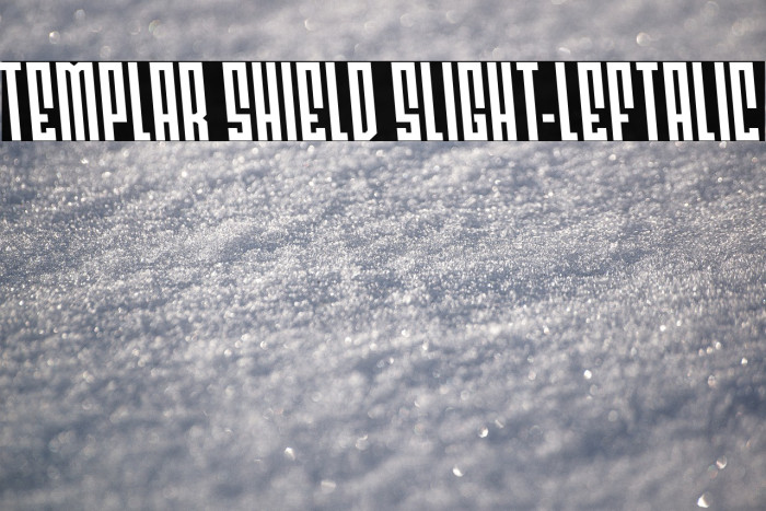 Templar Shield Slight-Leftalic Example 3